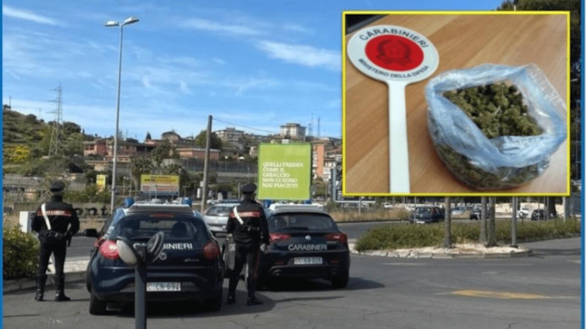 Meccanico sfreccia in circonvallazione con Multipla, trovato con oltre 100 grammi di marijuana occultati - 