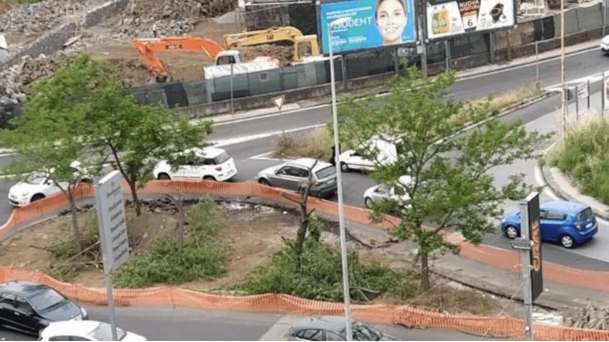 BRT: gli alberi sradicati per il cantiere in zona Fasano saranno rimpiazzati a spese dell’impresa - 