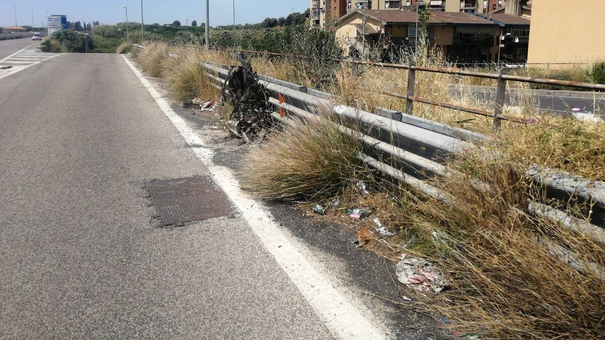 L'Asse Attrezzato di Catania invaso da spazzature e sterpaglie, l'allarme lanciato dal comitato Romolo Murri - 