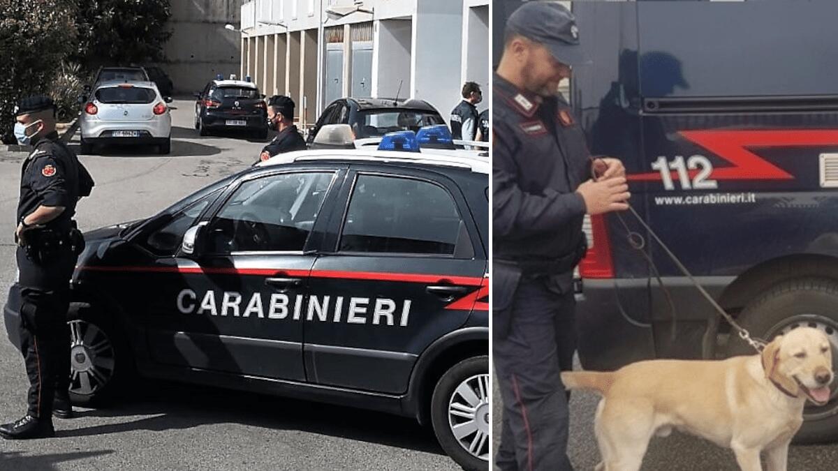 Librino: s’accorge dei militari e nasconde la cocaina nelle mutande ma il labrador Ivan non si fa ingannare - 