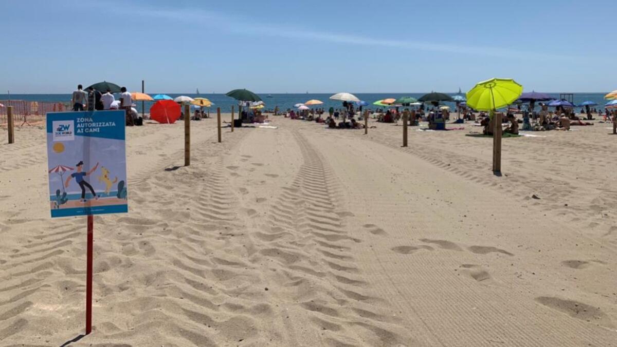 Playa di Catania, le spiagge libere si preparano all'apertura con tanti nuovi servizi e nuovi nomi - 