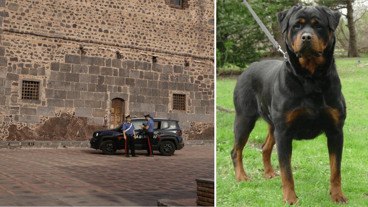Motta Sant’Anastasia: picchia la moglie ma non è la prima volta, lei aveva informato i militari in passato ma senza denunciarlo - 