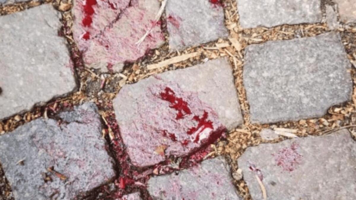 Biancavilla, violentissima rissa multietnica con bastone di ferro e martello: distesi, grondanti di sangue e in attesa di soccorso - 