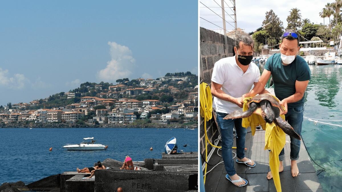 Studenti dell’istituto Duca Degli Abruzzi salvano tartaruga della specie Caretta caretta consegnandola ai volontari WWF - 