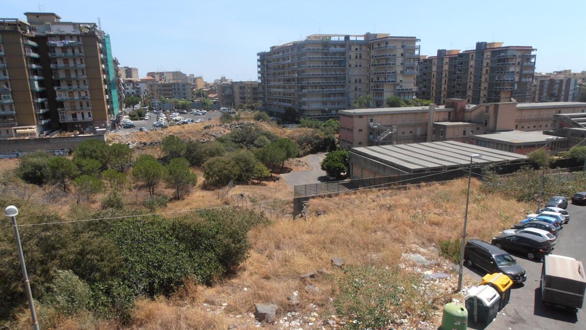 Allarme incendi in tutta la città di Catania, richiesti interventi radicali - 