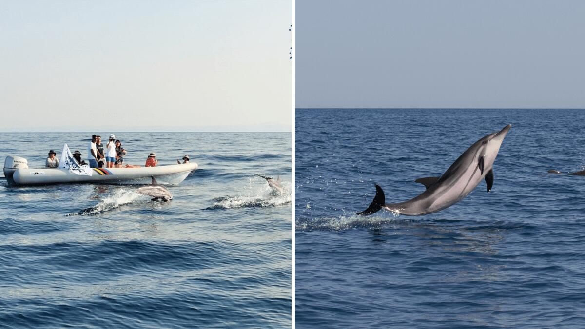 Generazione Blu: ultimi giorni del contest studentesco dell’associazione MareCamp sull’ecosistema marino - 