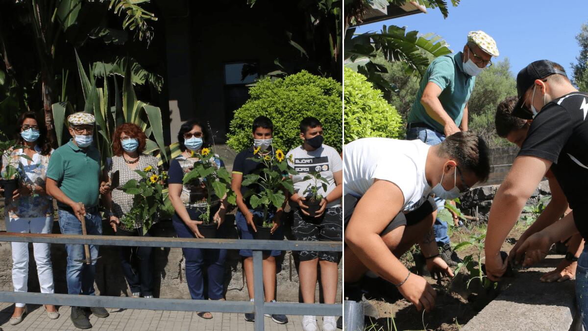 I “girasoli della Legalità”: il progetto coi fiori come simbolo di legalità e giustizia all’Istituto “Fermi-Eredia” - 