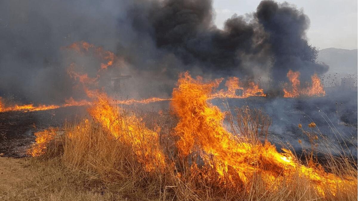 Manutenzione verde pubblico per prevenire gli incendi (VIE COINVOLTE) - 