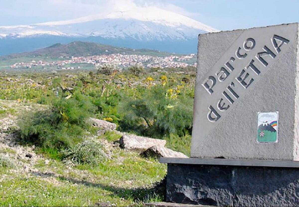 Insoliti volontari raccolgono rifiuti per eliminare la discarica a cielo aperto a "Quota Mille" - 