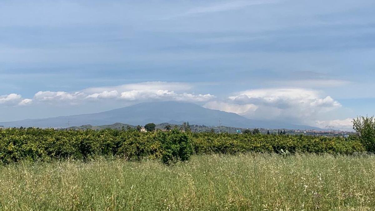 Assegnati, in comodato d'uso gratuito, 30 ettari di terreni agricoli confiscati alla mafia - 