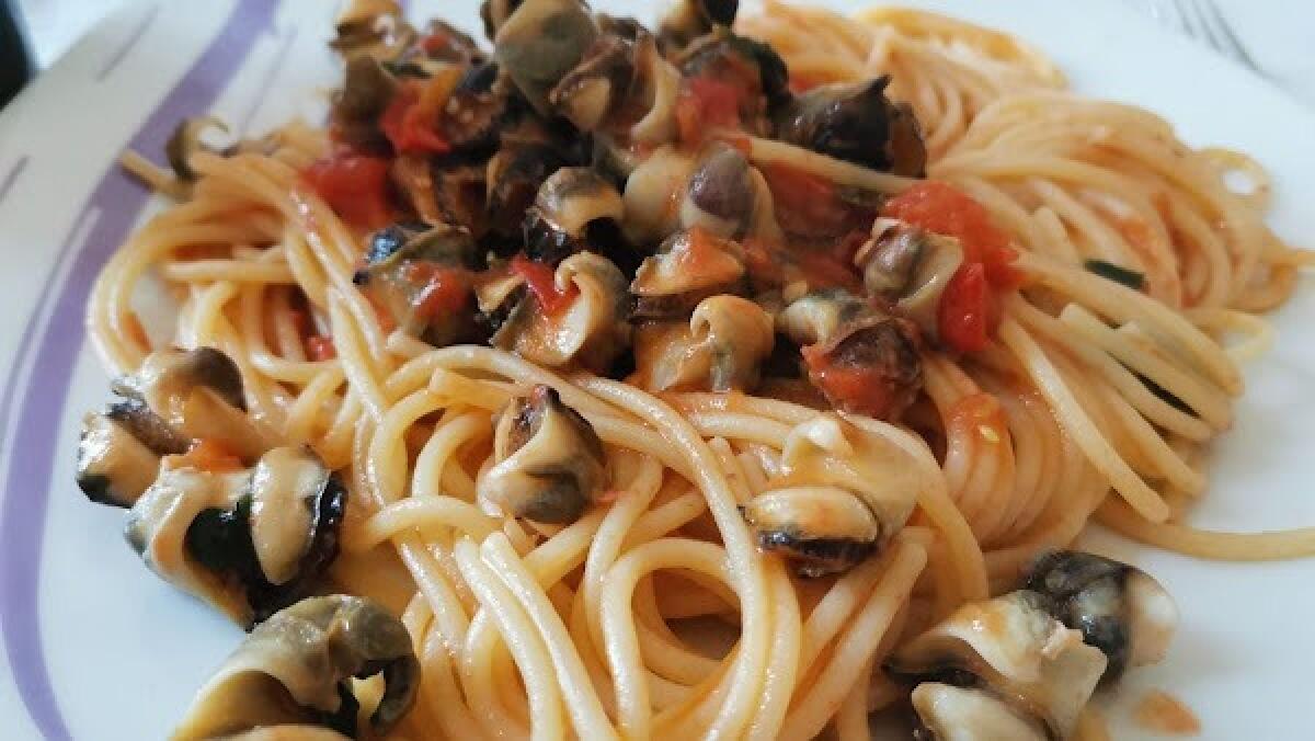 Patelle, i Pregiati e Proibiti Frutti di Mare della Tradizione Catanese - 