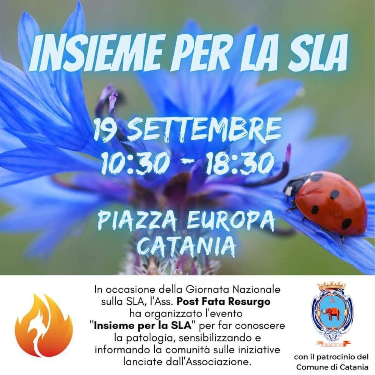 “Insieme per la SLA”: Palazzo degli Elefanti s’illumina di verde - 