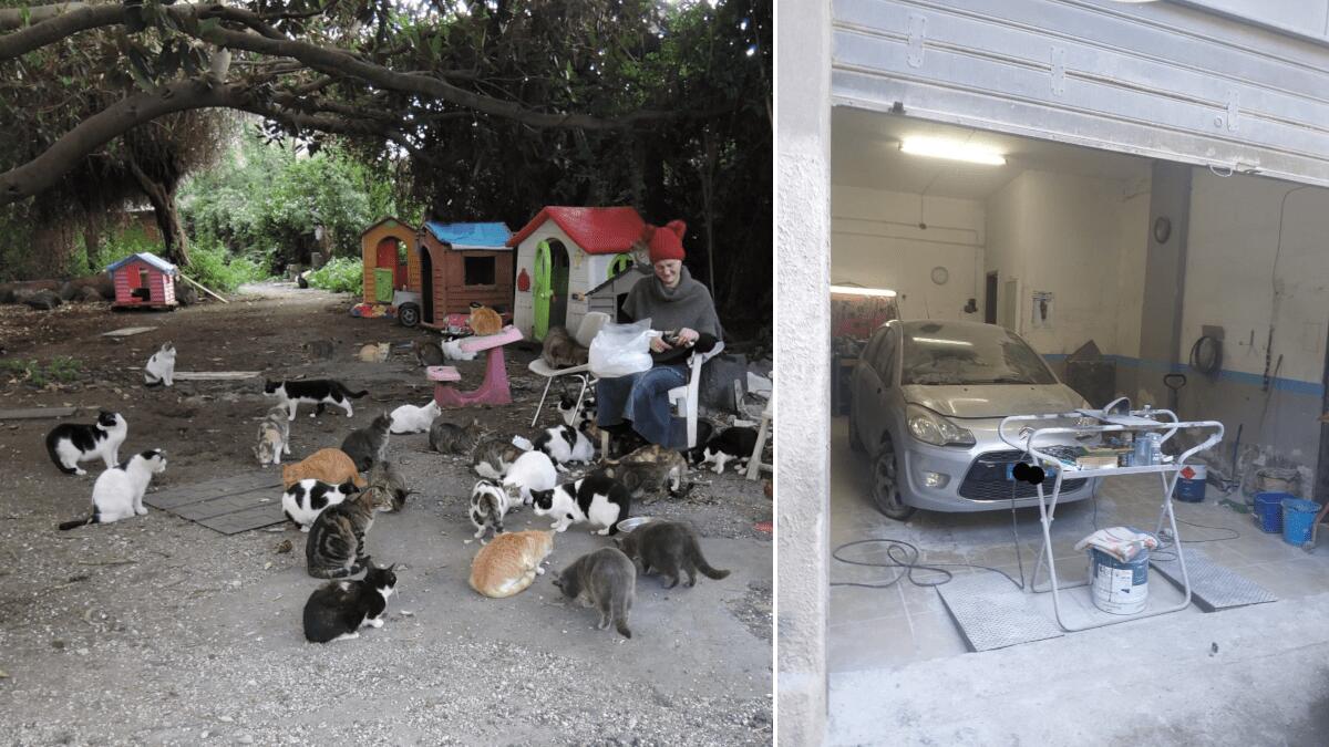 Polizia Municipale salva 50 gattini da un incendio, sequestra carrozzeria e verbalizza 180 persone (I FATTI) - 