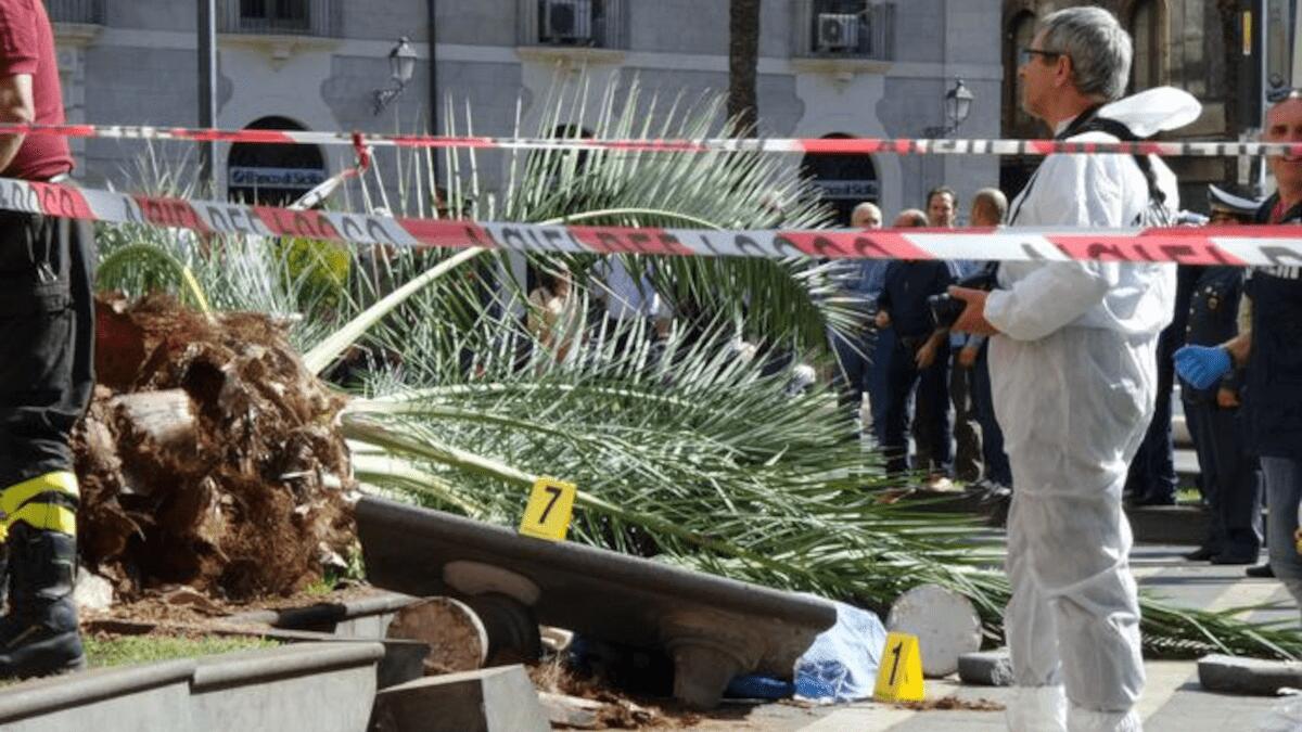 Uccisa dalla caduta di una palma in piazza Cutelli: Tribunale assolve dirigente del Comune (I DETTAGLI) - 