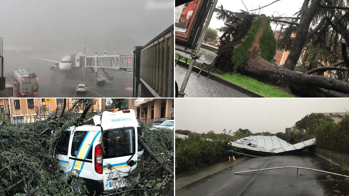 Tornado Catania: aeroporto in difficoltà, scoperchiato il PalaCannizzaro, caduto albero secolare (FOTO E VIDEO) - 
