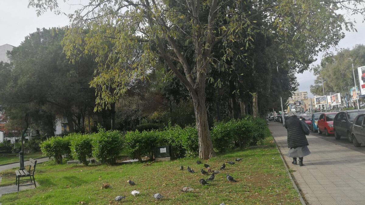 Progetto di riqualificazione, nuove aree attrezzate al Parco Falcone e Maria Teresa di Calcutta - 