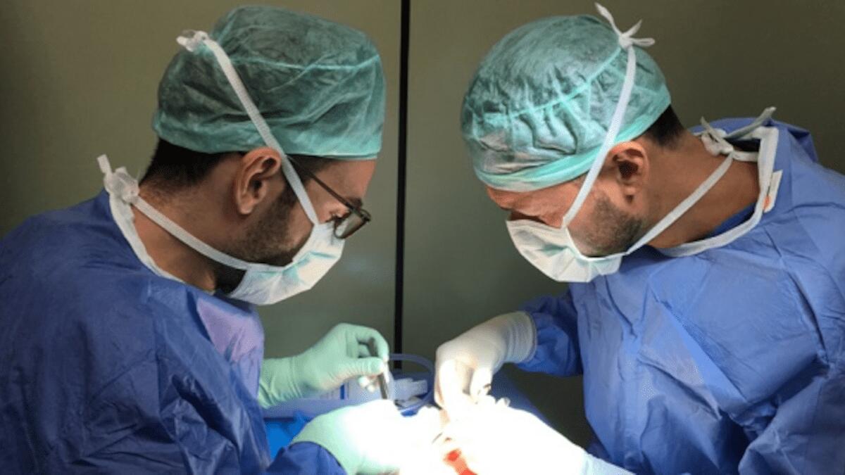Famigliari donano organi: è il quarto prelievo multiplo all’ospedale Cannizzaro (I DETTAGLI) - 