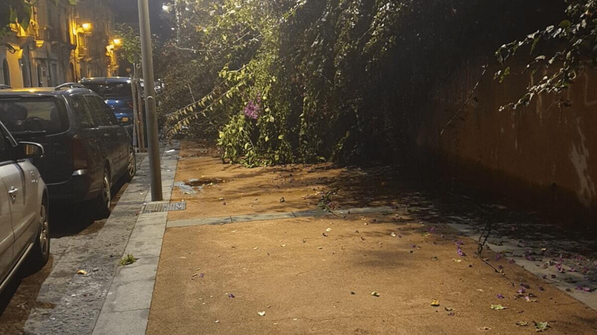 Pista ciclabile centro storico inserita nel “grande piano” ma il Comune non paga la manutenzione - 