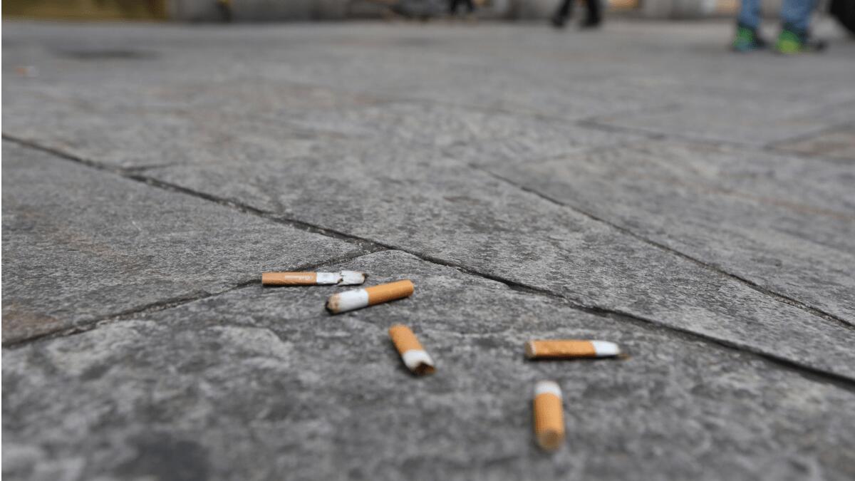 I volontari Plastic Free aiutano l’azienda Dusty a ripulire la piazza dalle cicche di sigarette - 