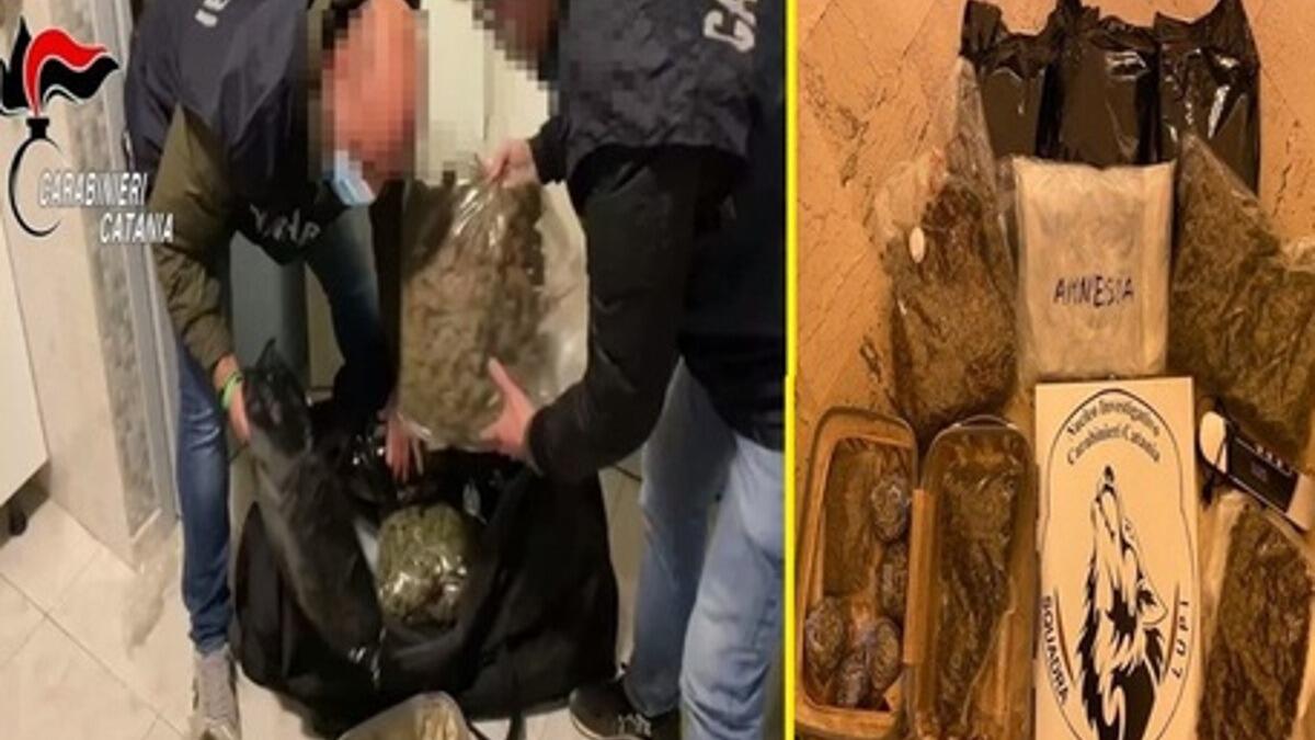 36enne trovata con 8,5 chilogrammi di marijuana a casa - 