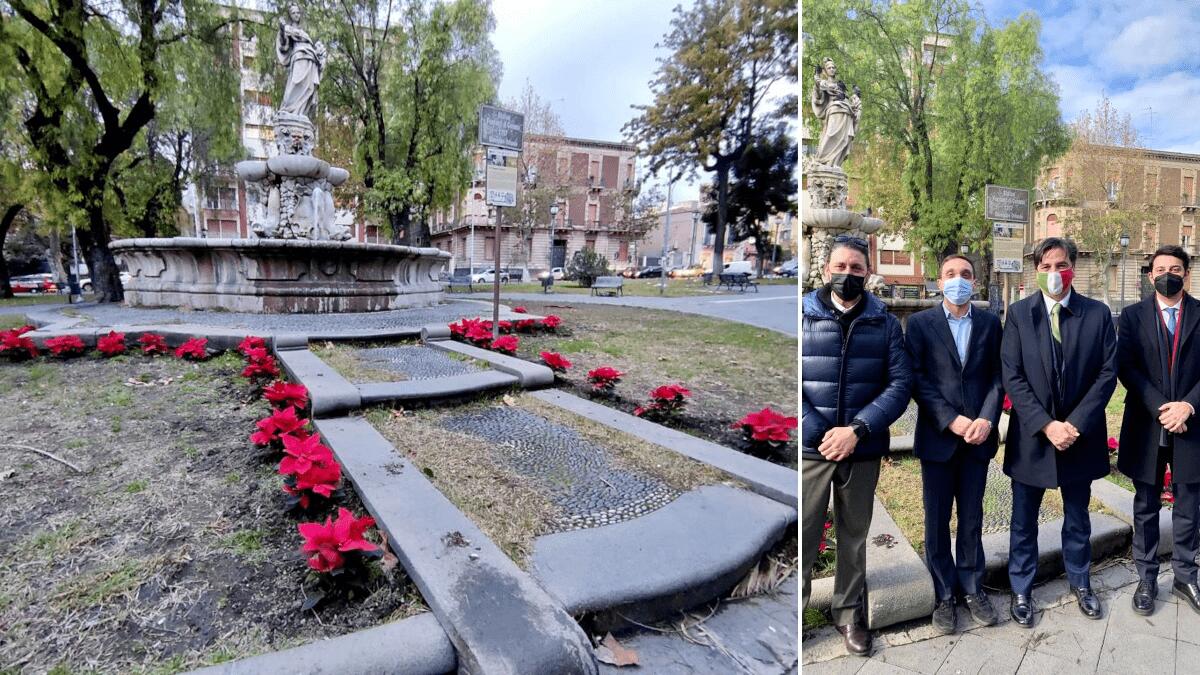 La donazione privata di stelle di Natale decora e riempie piazza Cavour - 