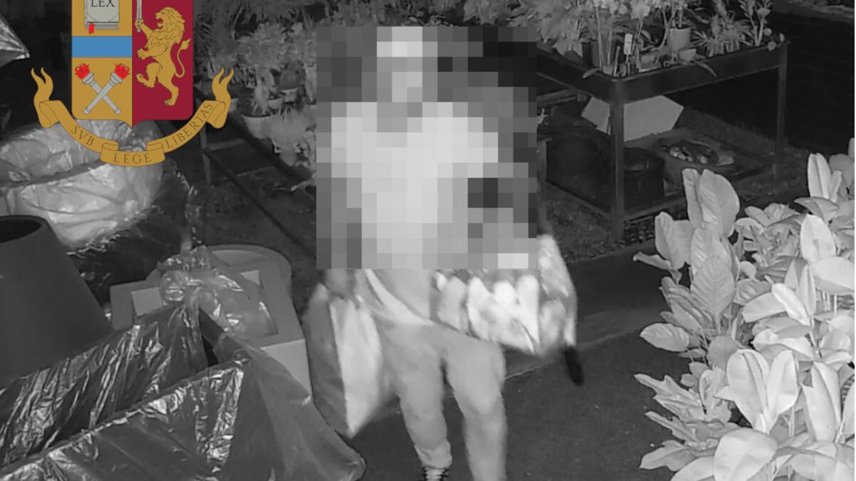 Ladro di fiori sorpreso a rubare nel vivaio: le immagini incastrano il pregiudicato - 