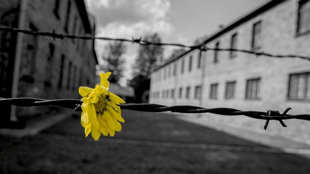 Giornata della Memoria: studenti catanesi protagonisti e scuola co-intitolata a Carmelo Salanitro - 