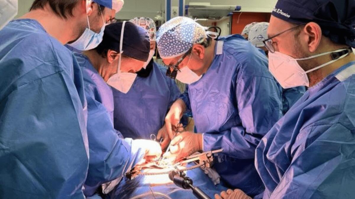 Secondo trapianto utero in assoluto eseguito a Catania: l’eccellenza sanitaria catanese protagonista - 