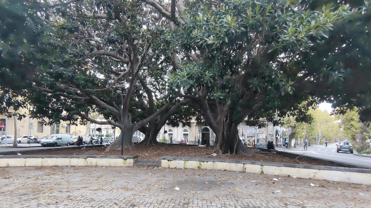 La denuncia del comitato su piazza Santa Maria di Gesù: «L’Amministrazione deve intervenire» - 