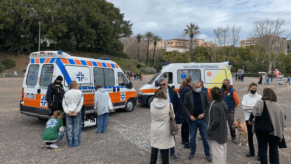 Nasce la “Catania Dog Card”: tessera fedeltà per favorire e sostenere le adozioni dai canili - 