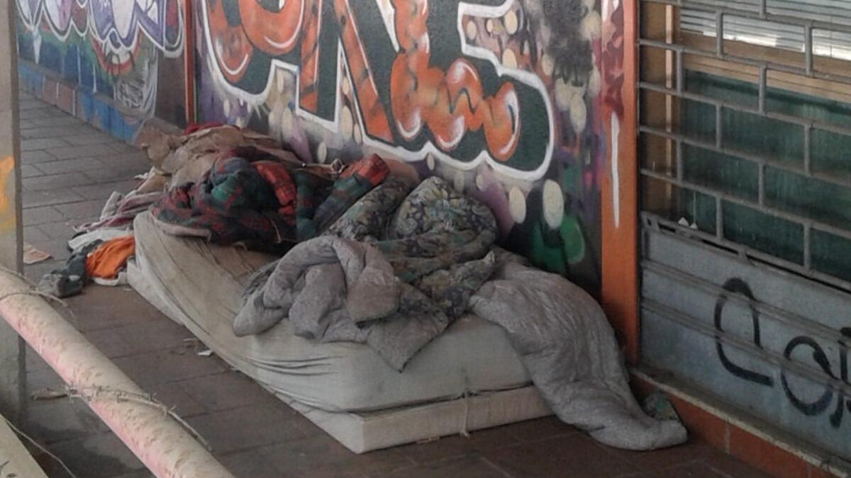 Emergenza senzatetto a Catania. Ersilia Saverino: “Senza iniziative precise si rischia la bomba sociale” - 