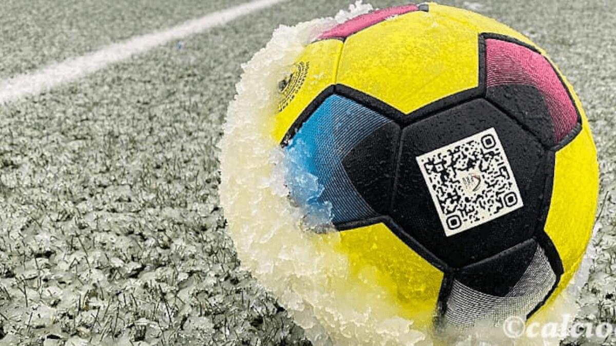 Calcio Catania: Lega comunica data e orario recupero gara Avellino-Catania (I DETTAGLI) - 