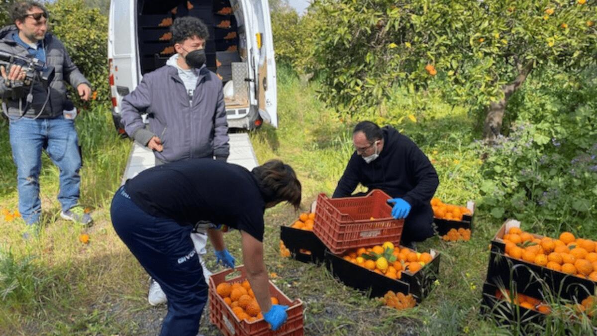 Volontari dell’associazionismo riuniti nell’agrumeto confiscato alla mafia - 