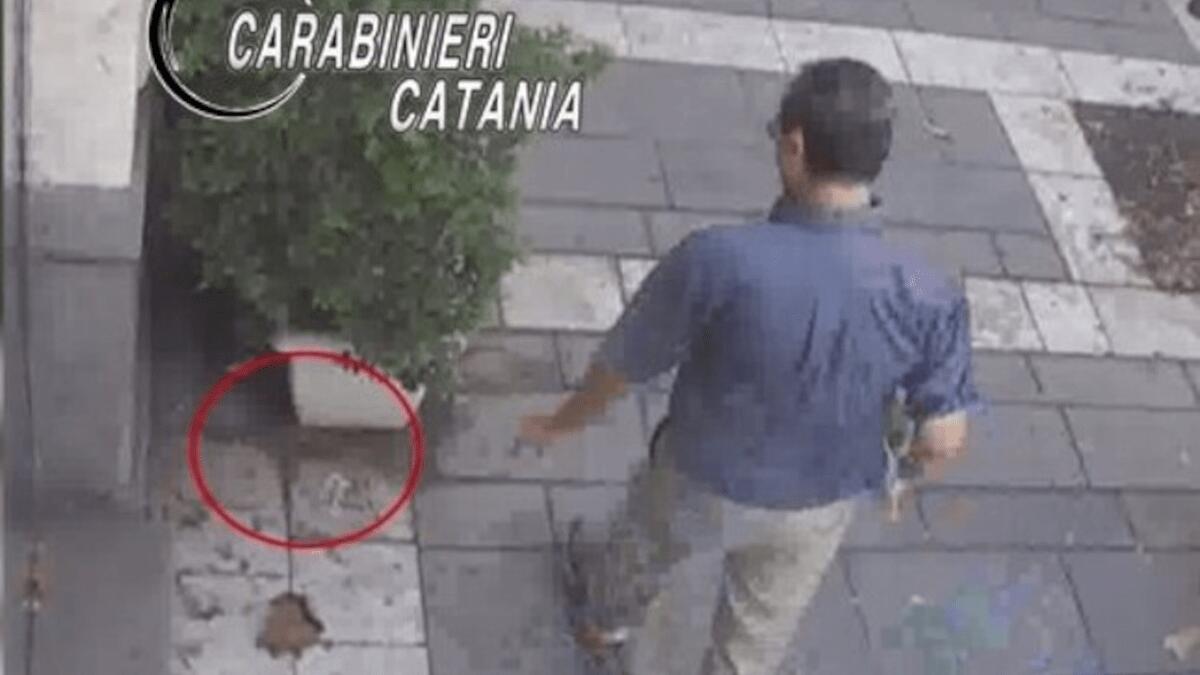 Sparge esche pericolose per cani in strada: all’interno ami, chiodi e fil di ferro - 