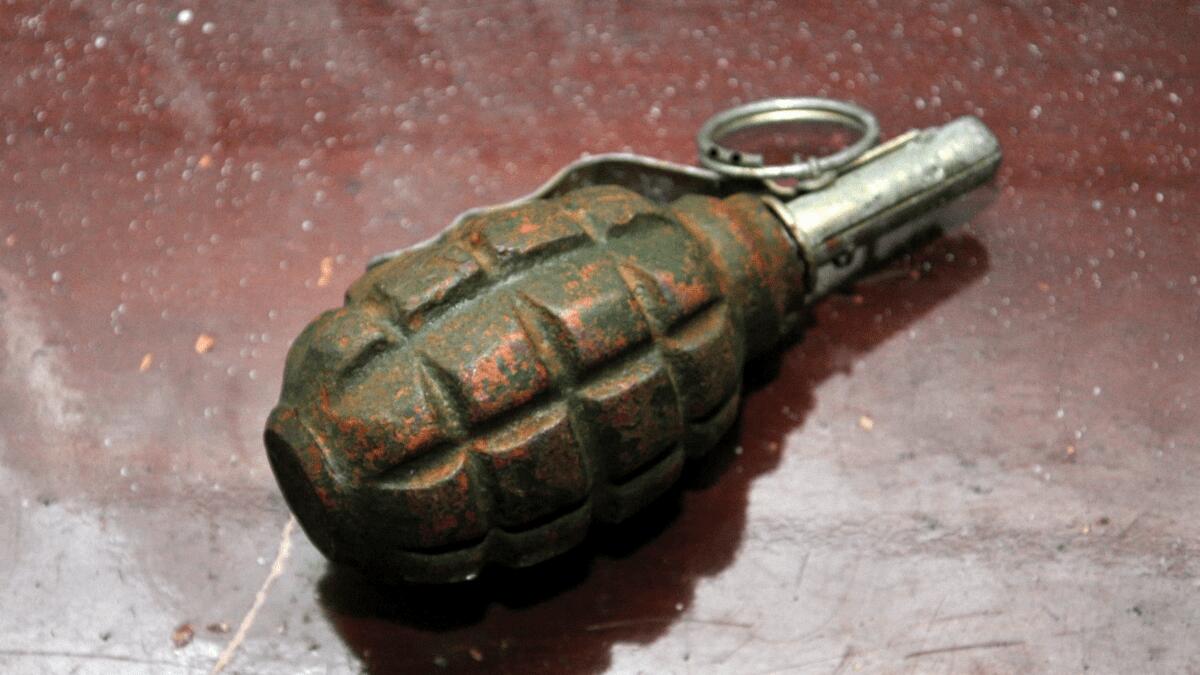 Donna segnala pistola del marito defunto: gli agenti trovano una bomba a mano - 
