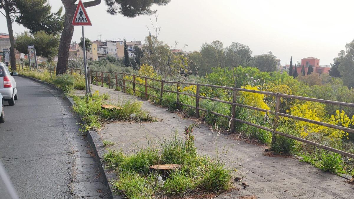 Buche, avvallamenti e sterpaglie sui marciapiedi di Catania: richiesti interventi urgenti - 
