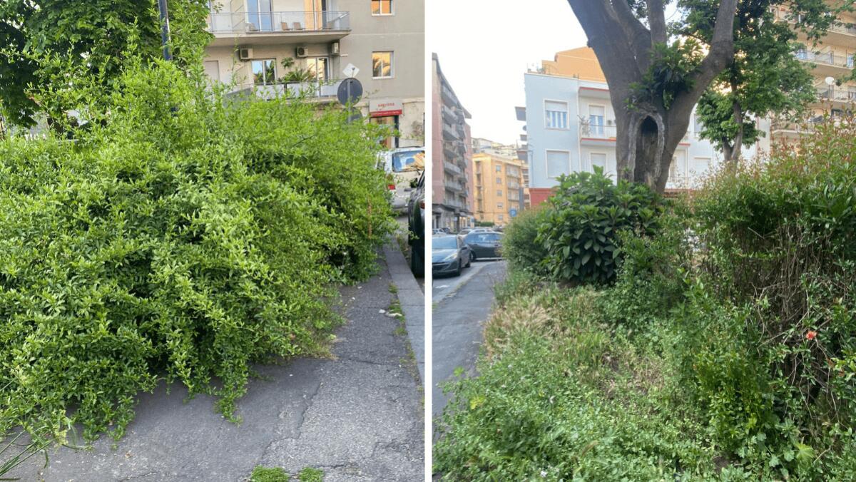Degrado e abbandono a Largo Aquileia, Cardello: "Totale disinteresse dell’amministrazione comunale" - 
