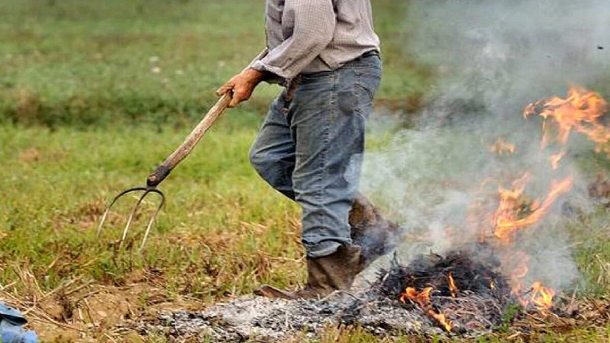 Rischio incendi: emanata ordinanza per la pulizia di terreni incolti - 