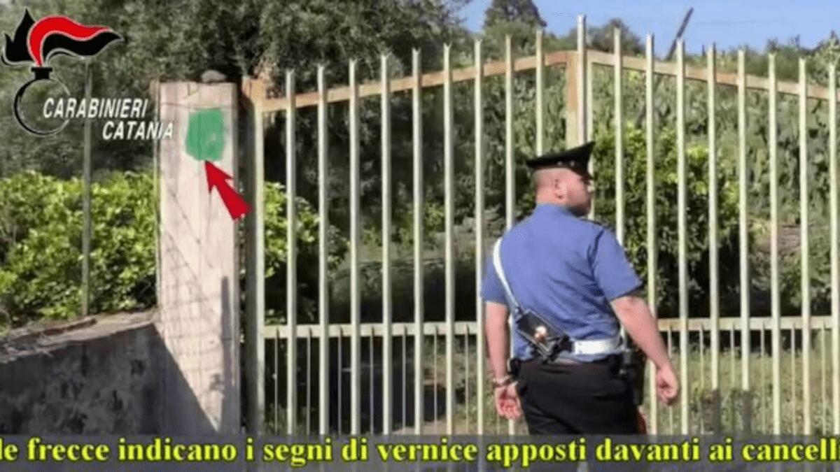 Cinque indagati nel catanese per esercizio abusivo d’attività di guardiania di terreni e immobili - 