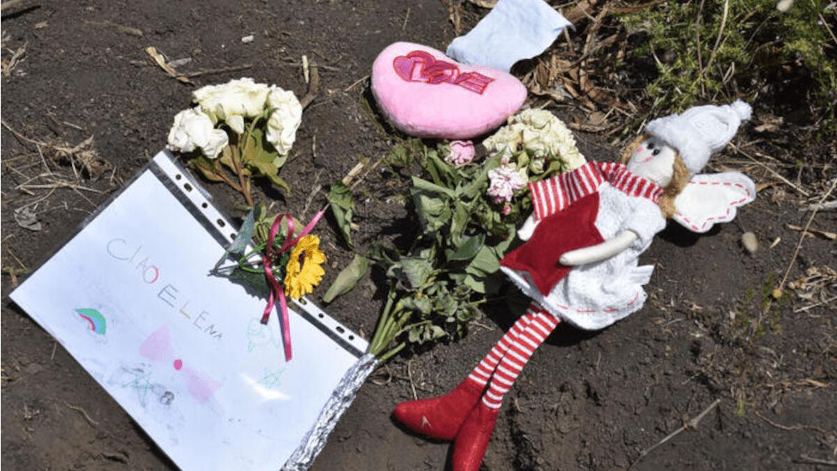 Esiti autopsia Elena: colpita con più di 11 coltellate, non è morta immediatamente (I DETTAGLI) - 
