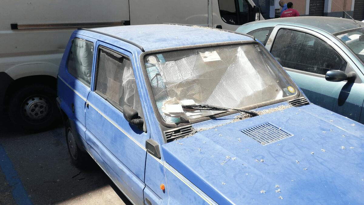 Degrado in via Sisto nei pressi della scuola “Cavour”: la denuncia del III municipio - 