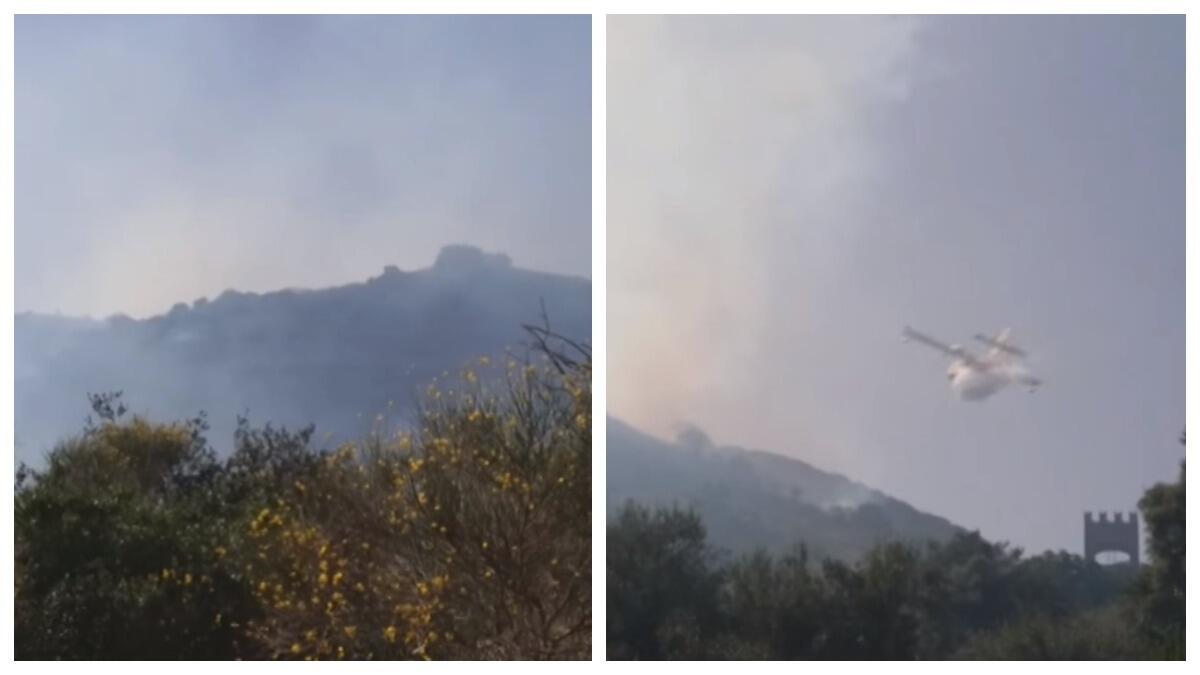 Mascalucia, vasto incendio sul monte Monpilieri - 