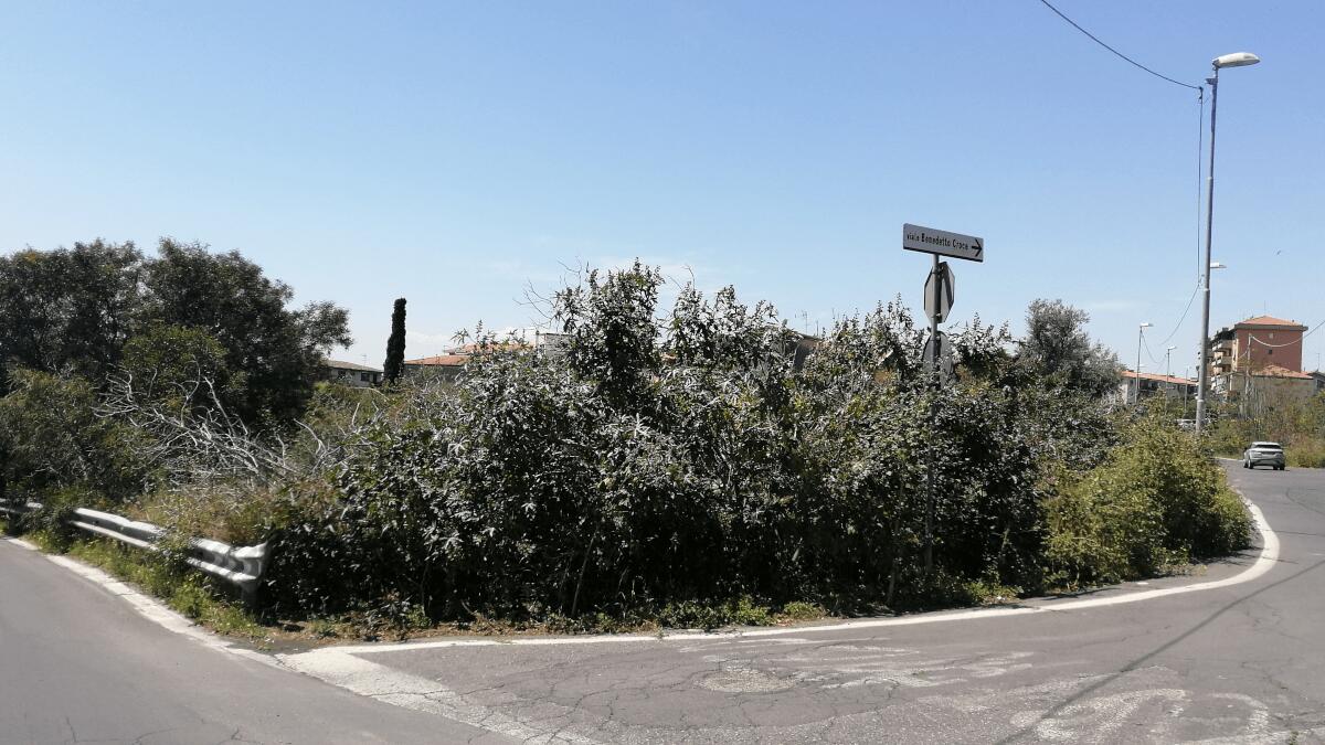 IV municipio di Catania spinge il Comune su un piano prevenzione incendi - 