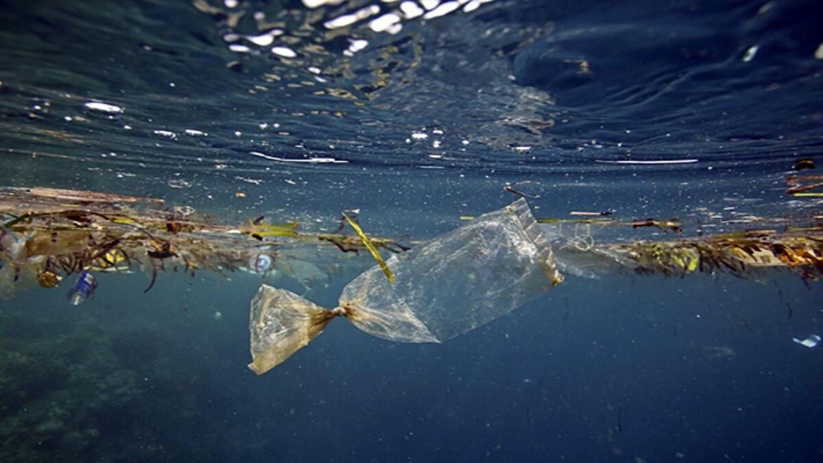 Microplastiche in profondità: l'ultima scoperta dell'Università di Catania - 