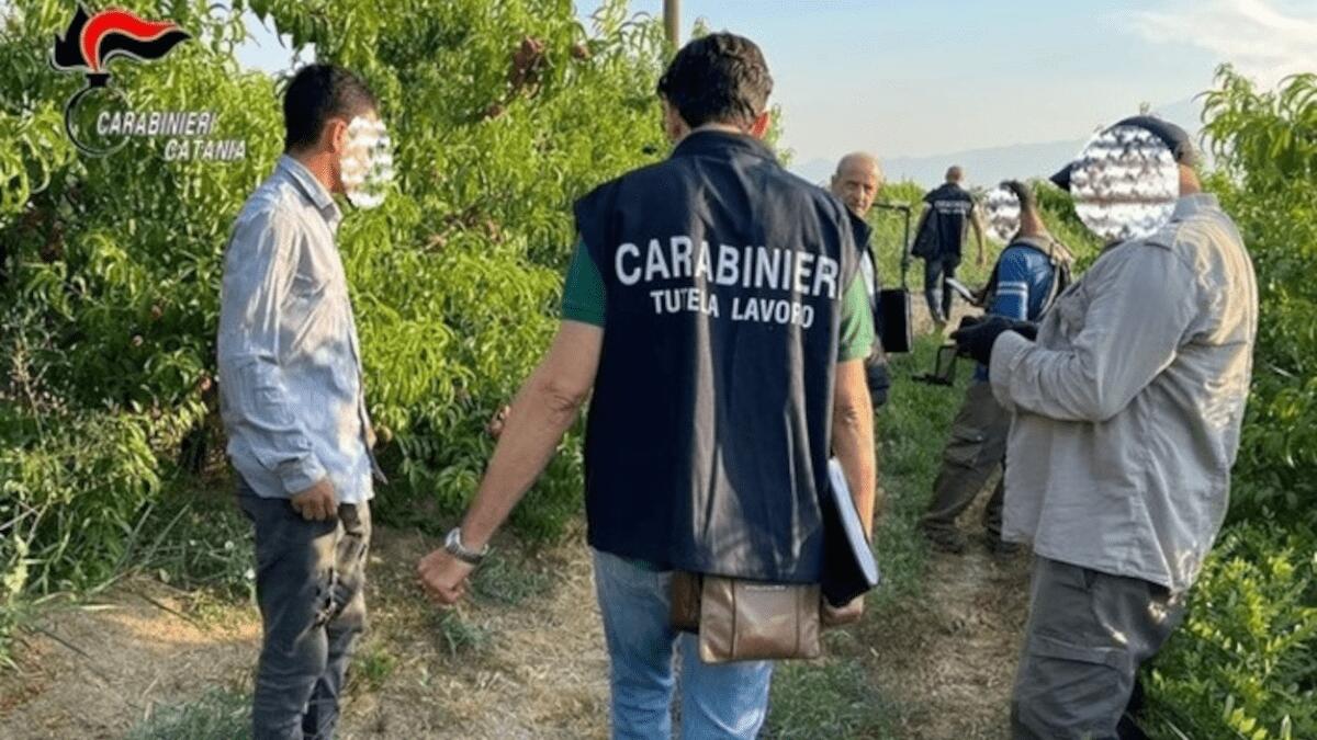 Imprenditore agricolo pagava braccianti 150 euro al mese pretendendone 8.000 per farli lavorare - 