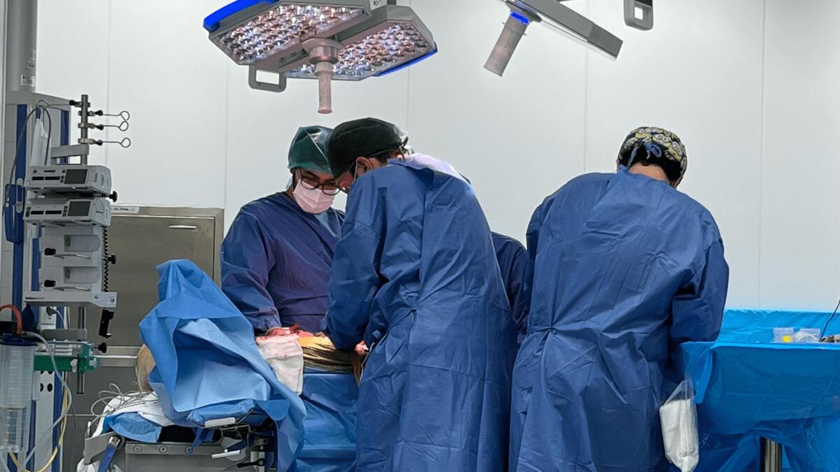 Morte cerebrale per settantenne: la famiglia concede il prelievo multiorgano salvando diverse vite - 