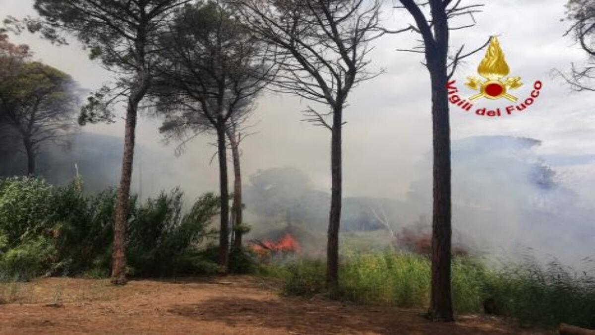 Boschetto della Playa in fiamme, bruciati 5mila metri quadri di vegetazione - 