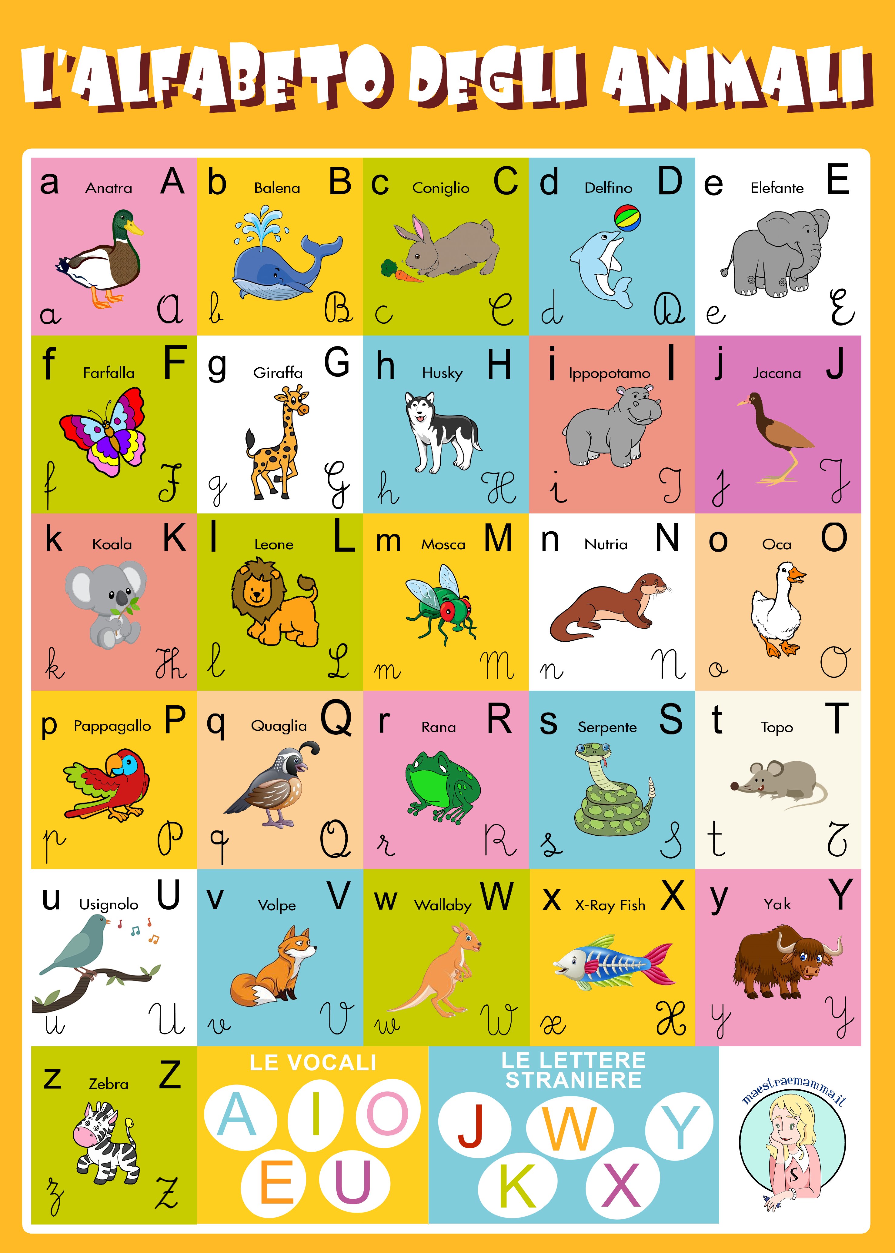 50x70 alfabeto animali