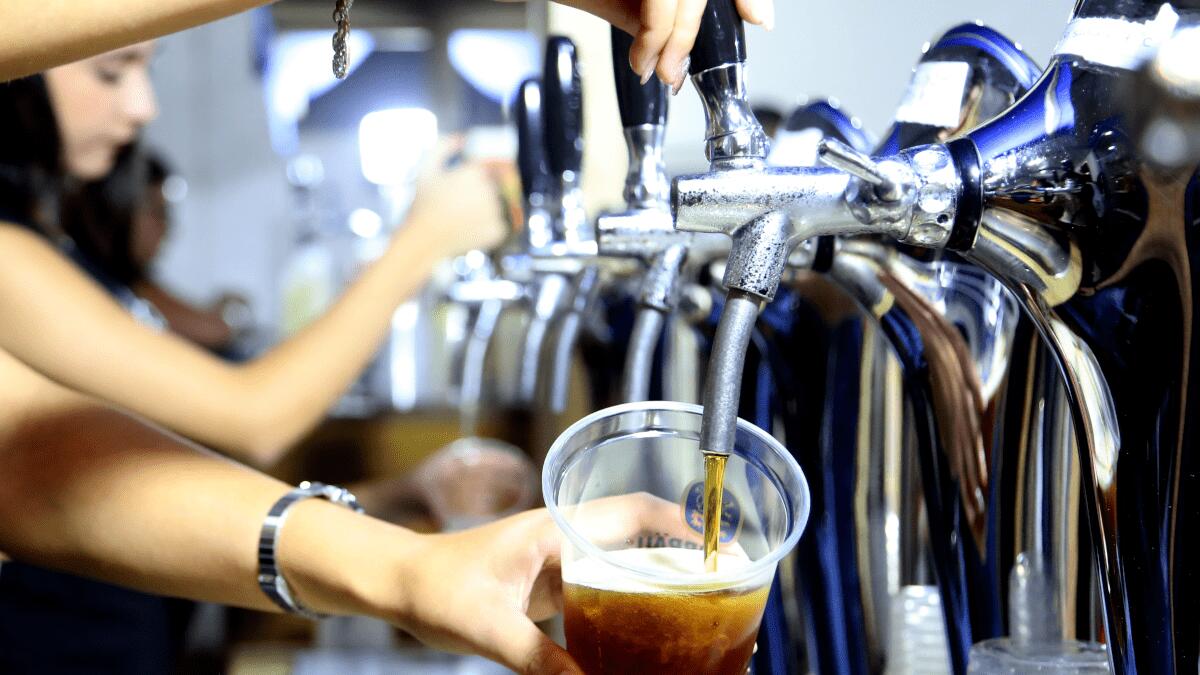 Presentata l’ottava edizione del Festival della Birra & Street Food Regionale (DOVE E QUANDO) - 