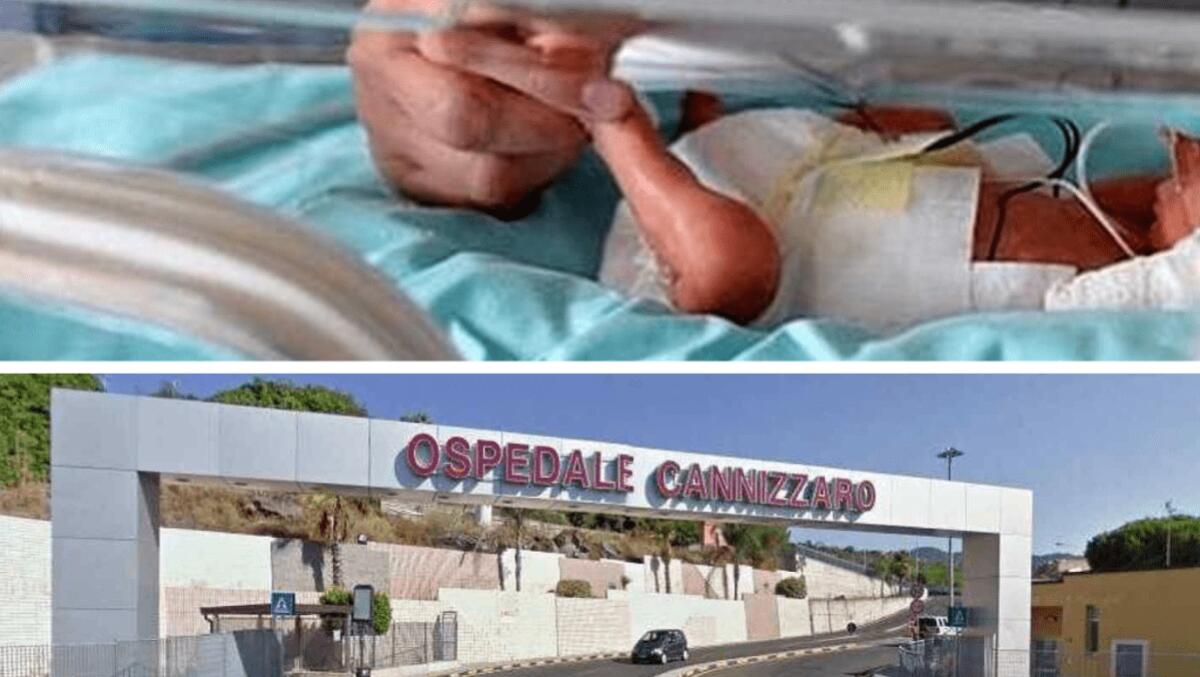 Nata a Catania la figlia della donna che ha ricevuto il trapianto di utero: primo parto in Italia - 